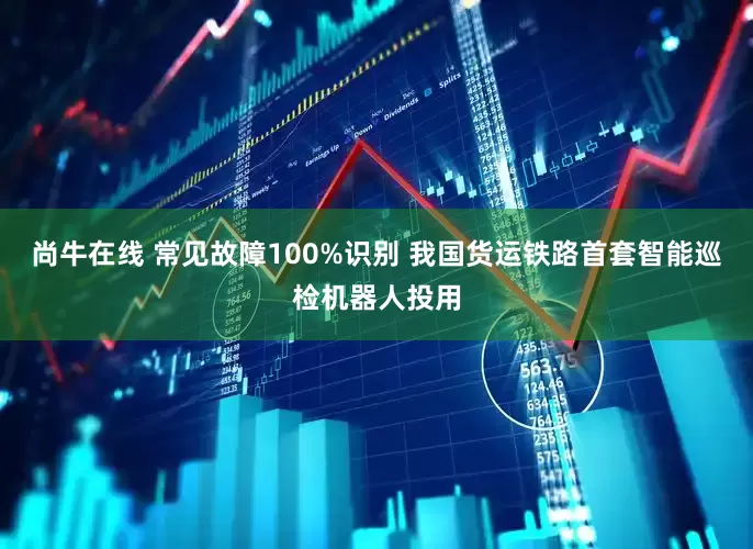 尚牛在线 常见故障100%识别 我国货运铁路首套智能巡检机器人投用