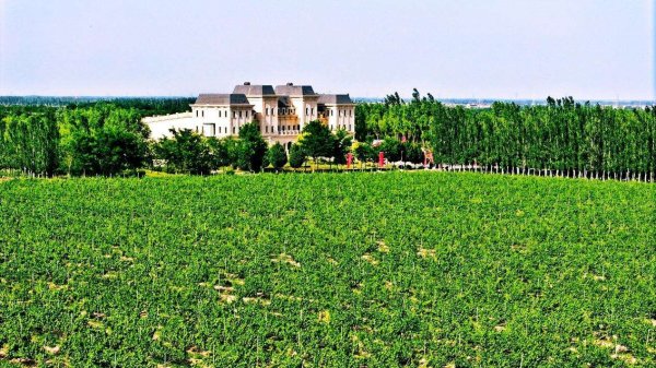 达宝优配 宁夏银川市西夏区：在绿水青山间寻找幸福