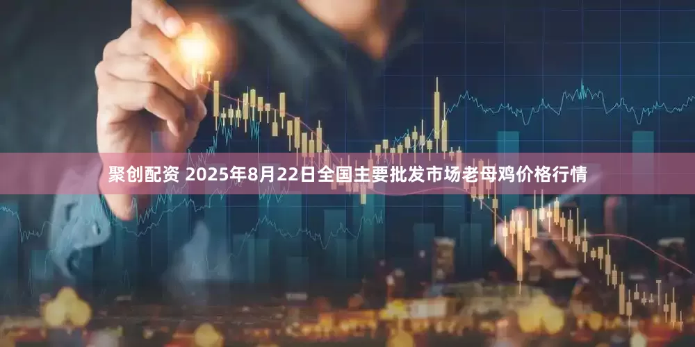聚创配资 2025年8月22日全国主要批发市场老母鸡价格行情