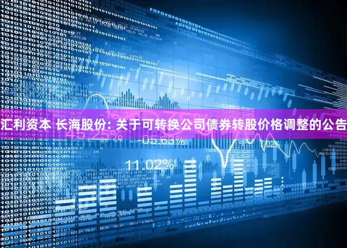 汇利资本 长海股份: 关于可转换公司债券转股价格调整的公告