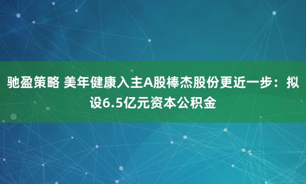 驰盈策略 美年健康入主A股棒杰股份更近一步：拟设6.5亿元资本公积金